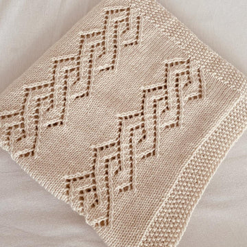 Lacy Sweep Blanket