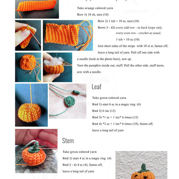 Miniature Pumpkin