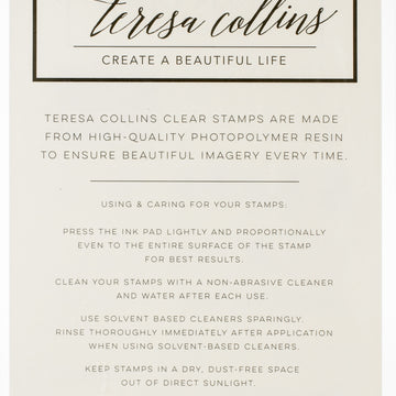 Teresa Collins Clear Stamp Set - Bold Life, Never Give Up
