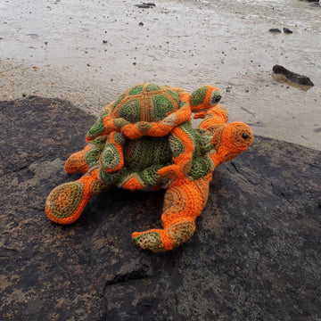 Hearty Turtle