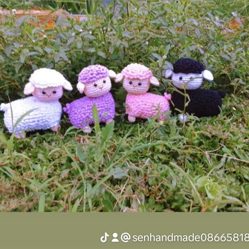 SHEEP -SENSO