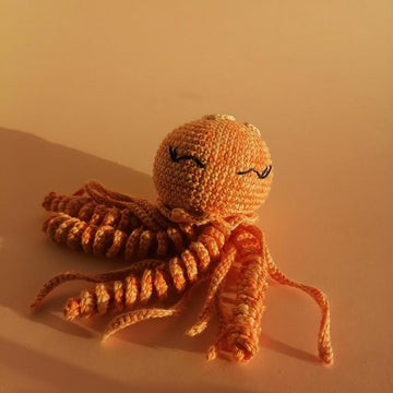 Jellyfish