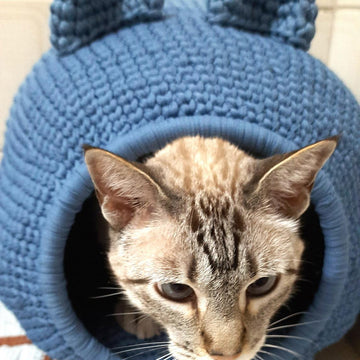 Cat cave paws and ears