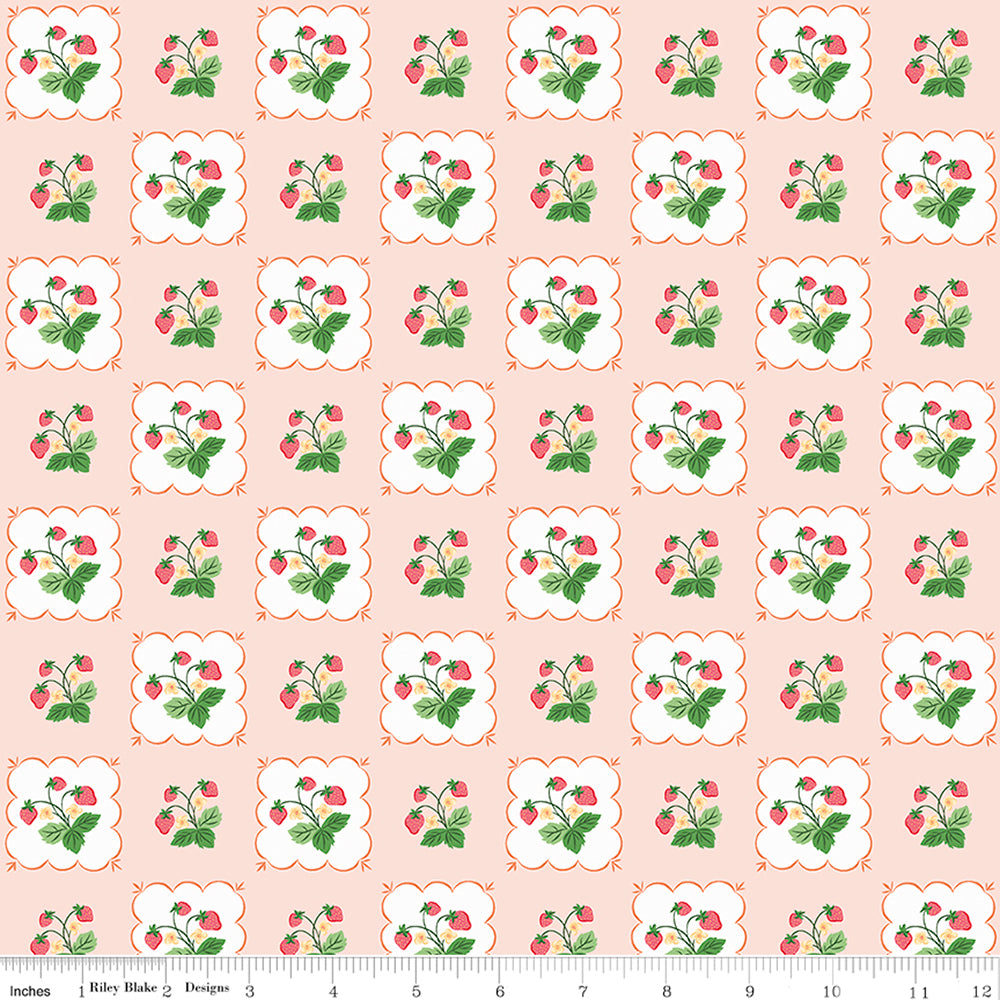 Riley Blake Summer Picnic - Pink - RBC10751PINK