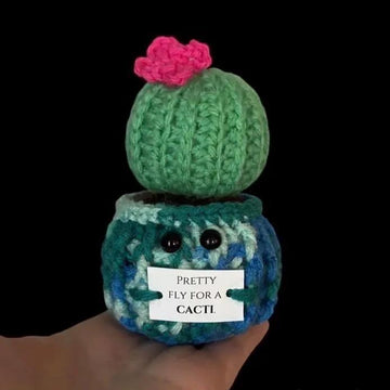 Sassy Succulents