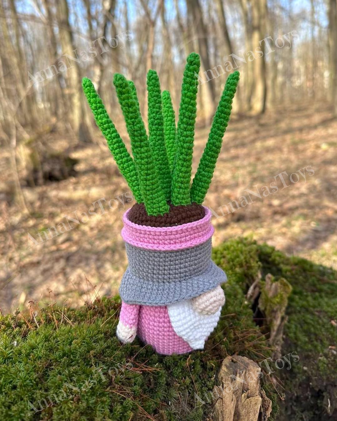 Gnome succulent_sansevieria 3