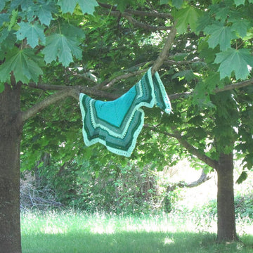 Scrap Shawl