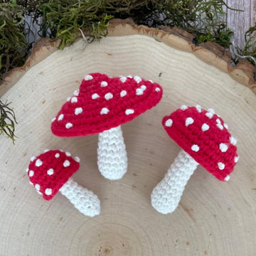 Mushroom Harvest