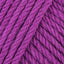Fuchsia (60)
