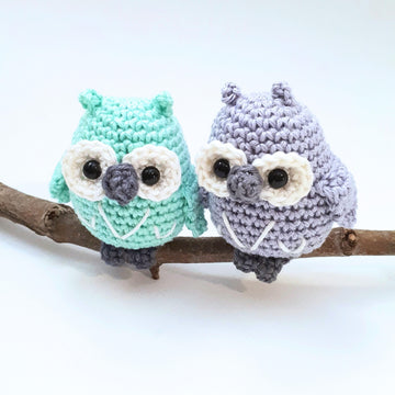 Owls couple on a branch