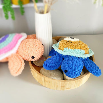 Teddy Bear Turtle