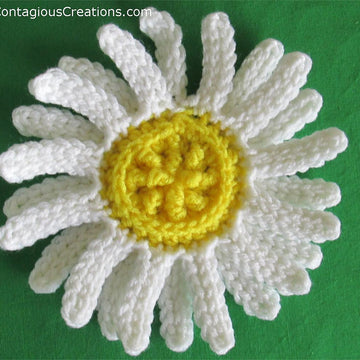 Daisy Square and Plain Square