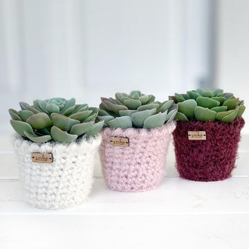 The Pirouette Planter 055