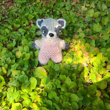 Remy the Raccoon