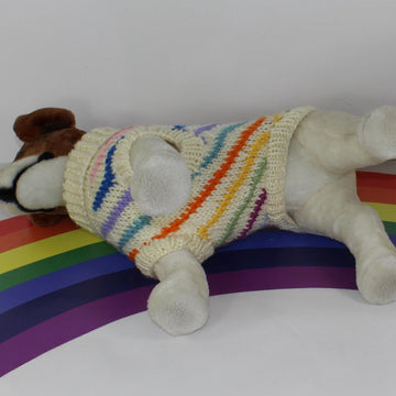 Chunky Swirl Stripe Dog Coat & Matching Beanie Hat