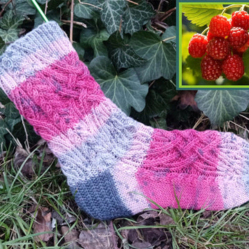 Raspberry Socks
