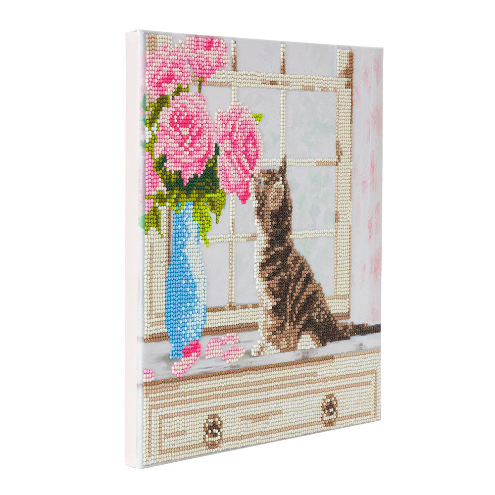Crystal Art Cat, 30x30cm  Diamond Painting Kit