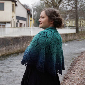 Sempervivum shawl