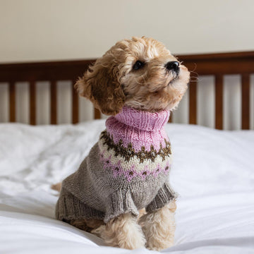 Happy Dog Sweater