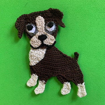 Boxer Dog