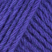 Pflaume / Plum (31)