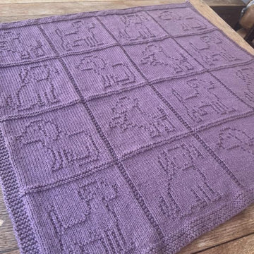 Dog Blanket