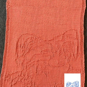 Nr. 69 Papillion dog guest towel