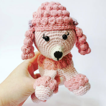 Posy the Poodle