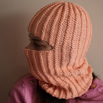 Winter Ski Mask