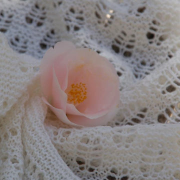 Great Barrier Reef Lace Shawl