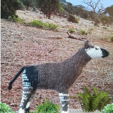 Okapi