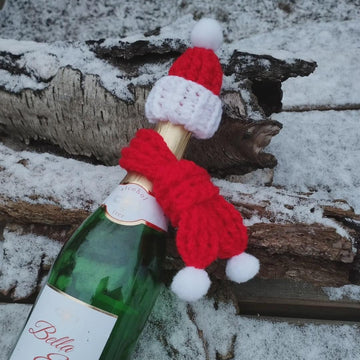 Wine Bottle Hat and Scarf