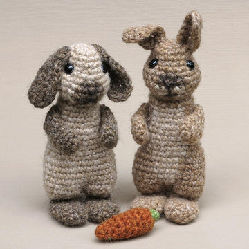Poochey & Fudge the rabbits