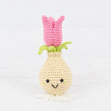 Tulip Bulb