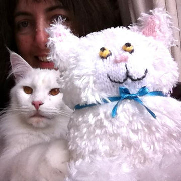 Shelf Cat Fluffy One