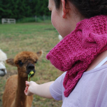 Gambolling Cables Cowl
