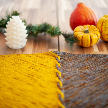 Edge of Winter Shawl