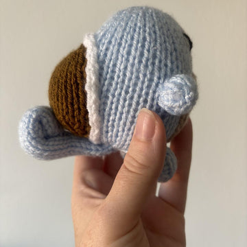 Baby Squirtle