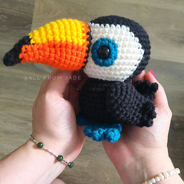 Daiquiri the Toucan
