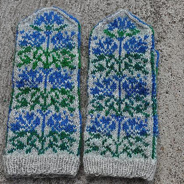 Lithuanian Cornflowers