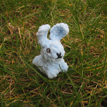Little Bunny