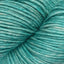 Hosta Blue (291)