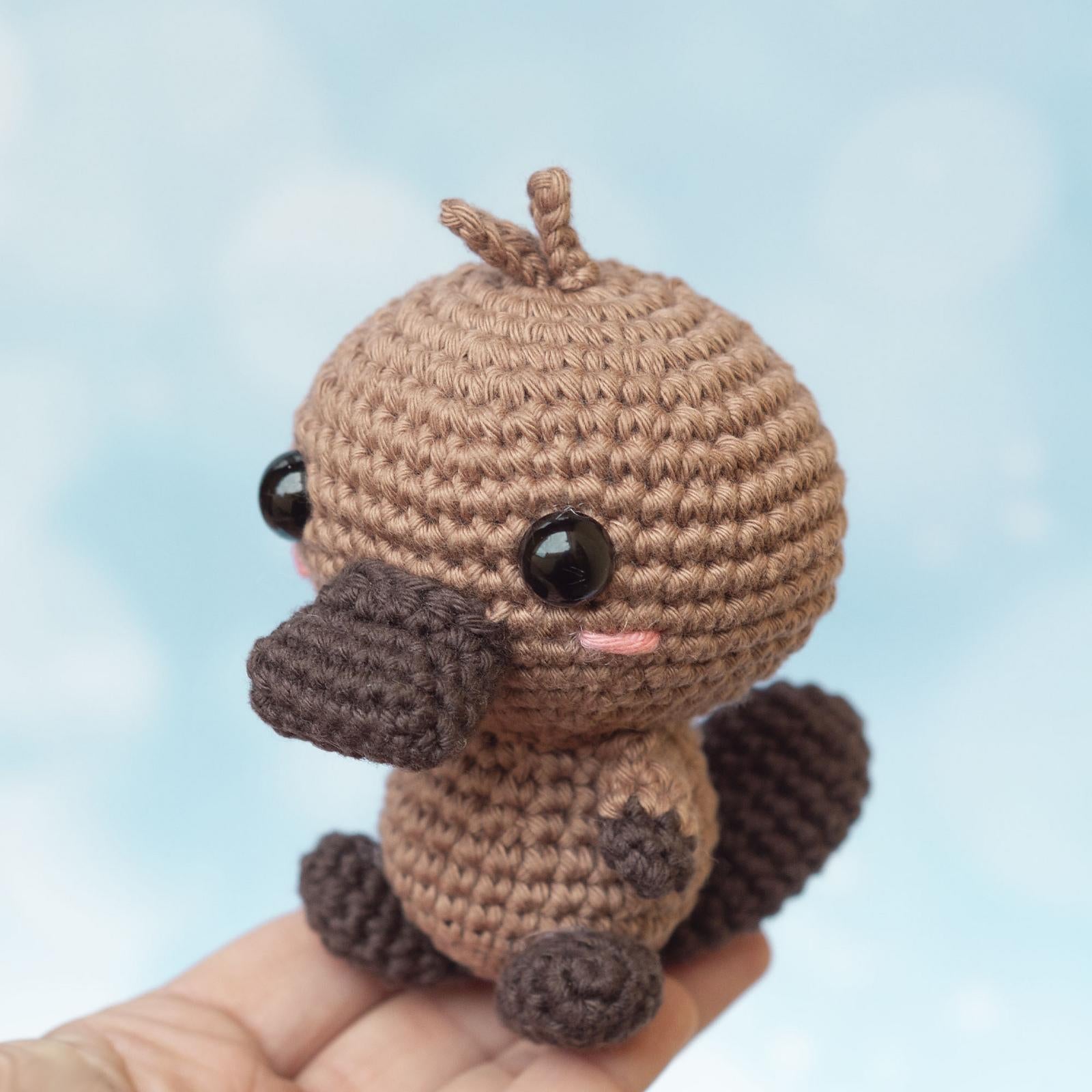 Baby Platypus