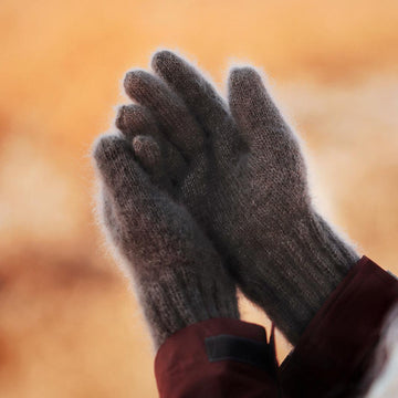 The Cloud Gloves