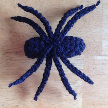 Spider