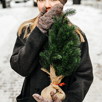 Brescul mittens