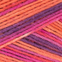 Hibiskus (6072)