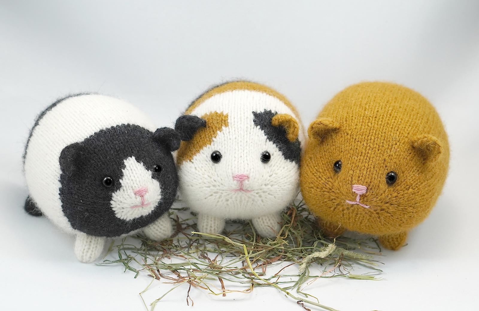 Garden Variety Guinea Pigs