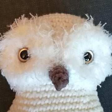 Gwenn the Snowy Owl