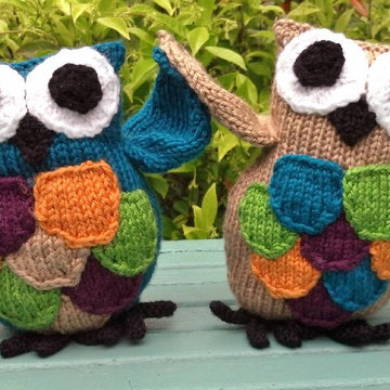 Chubbs the Owl